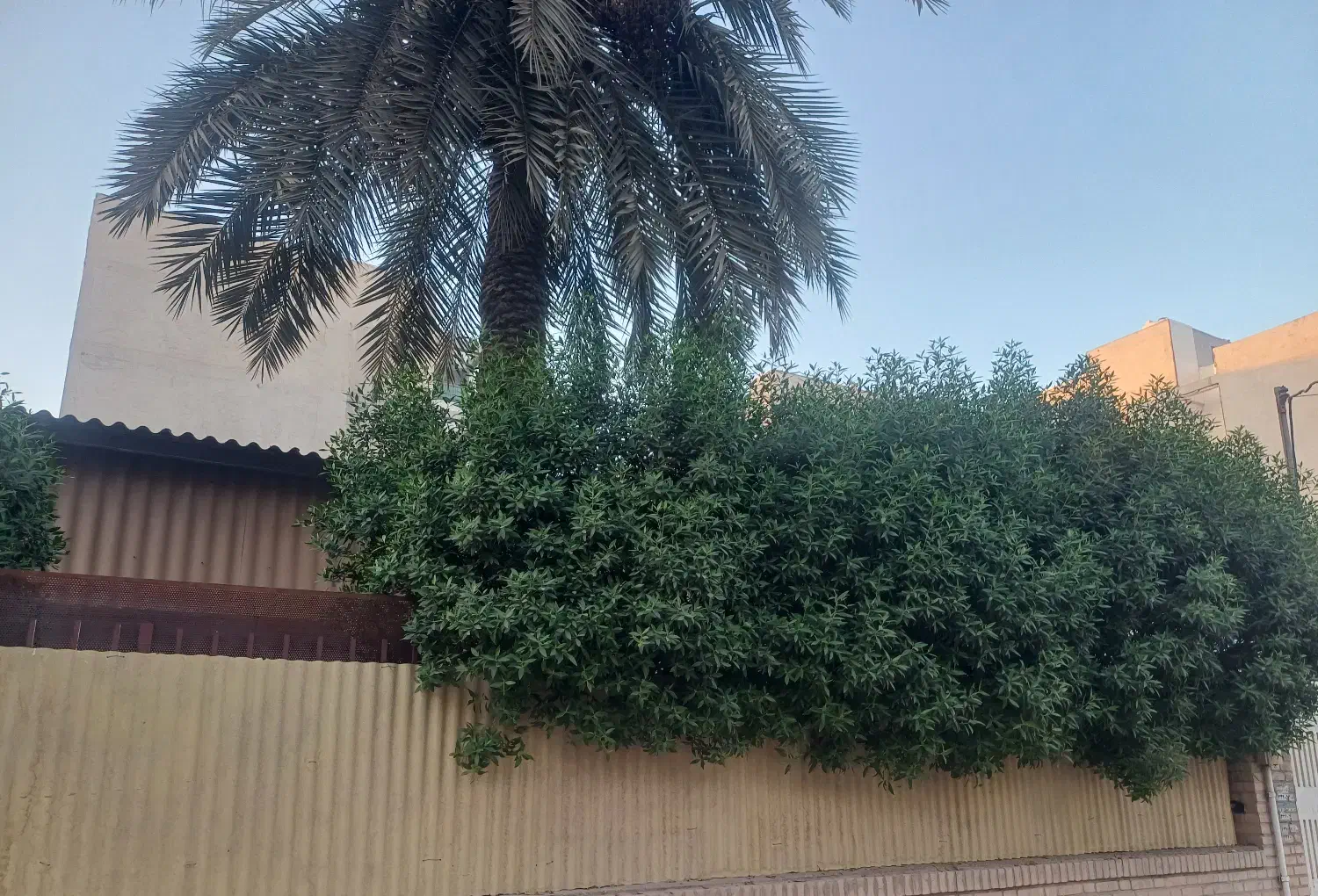 فروش|فروش خانه و ویلا|اهواز, شهرک دانشگاه|دیوار