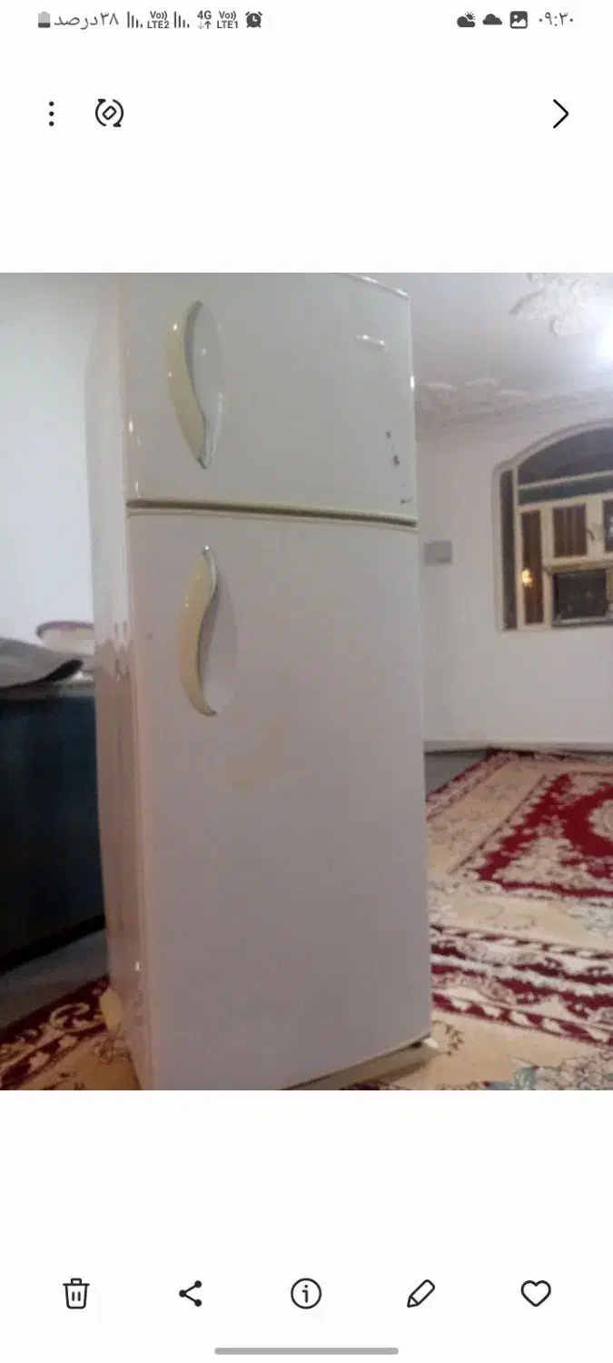 یخچال تمیز|یخچال و فریزر|بندرعباس, |دیوار