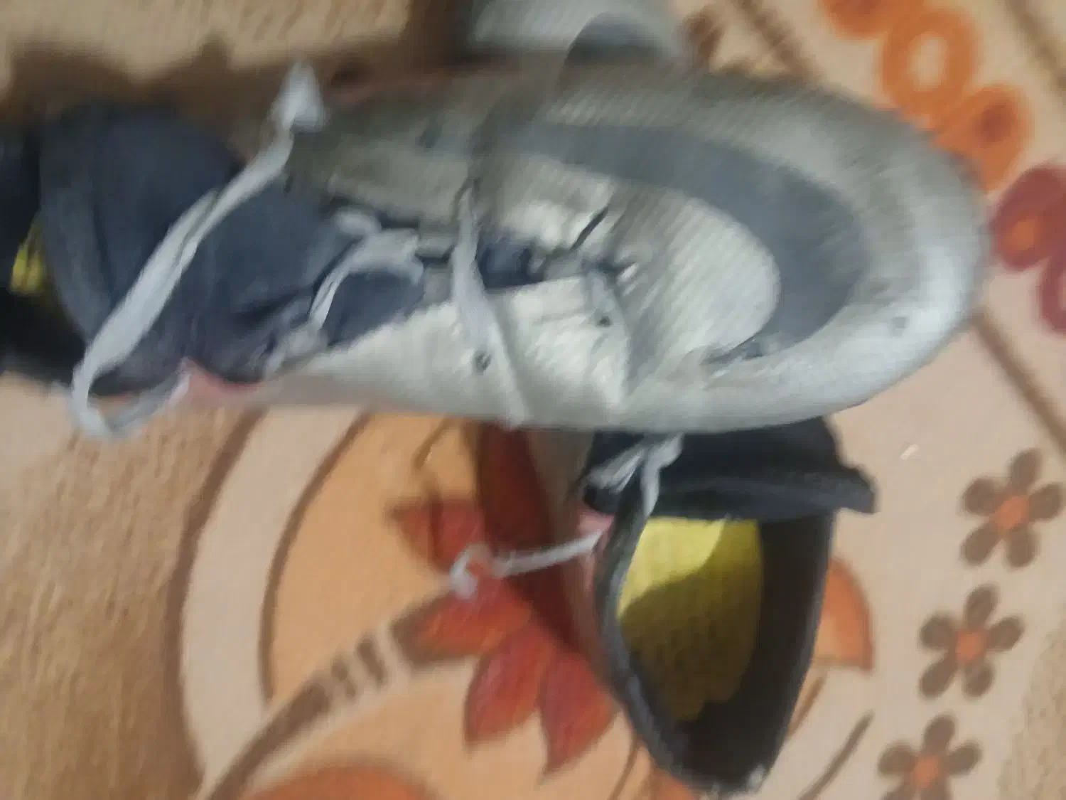 کفش استوک دار سایز 43 و 44 هممیخوره|کیف، کفش، کمربند|اهواز, فدک|دیوار