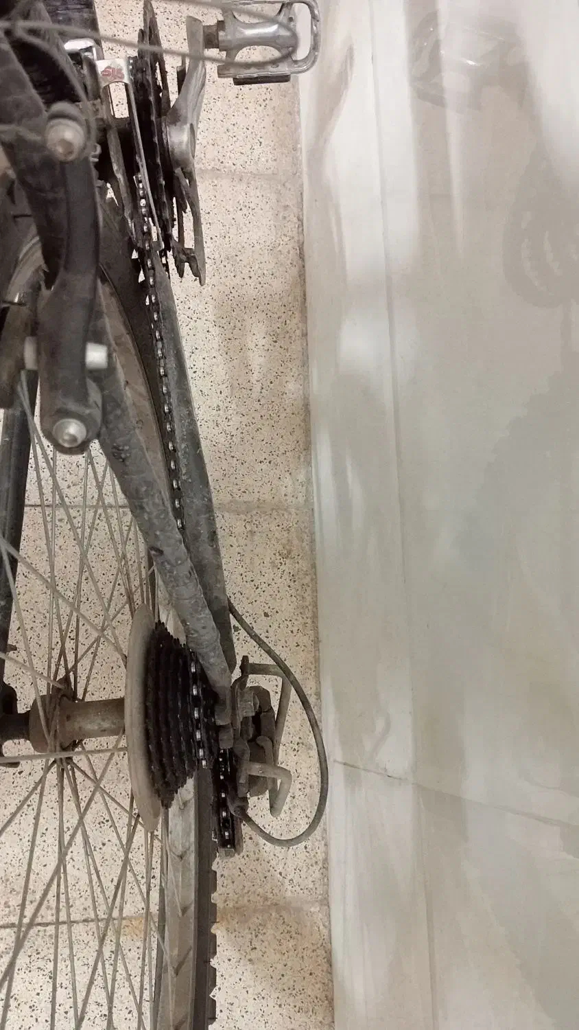 دوچرخه دماوند|دوچرخه، اسکیت، اسکوتر|مشهد, تلگرد|دیوار