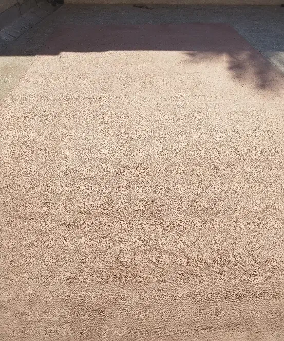 پالار موکت|موکت|بندر امام خمینی, |دیوار