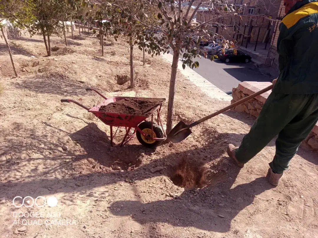 خدمات باغبانی ( ویژه )|خدمات باغبانی و درختکاری|تبریز, |دیوار