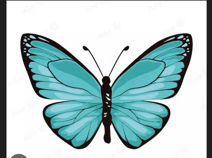 معاوضه سیم کارت رند کد ۶ با کد۱|سیمکارت|تهران, امیریه|دیوار