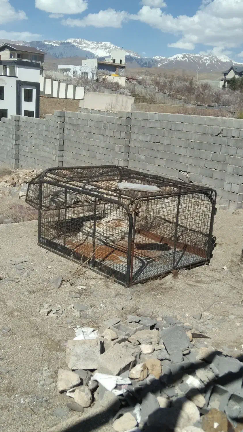 باربند آریسان و پیکان سقف متحرک بازشو ومبلی|قطعات یدکی و لوازم جانبی|پردیس, فاز ۲|دیوار