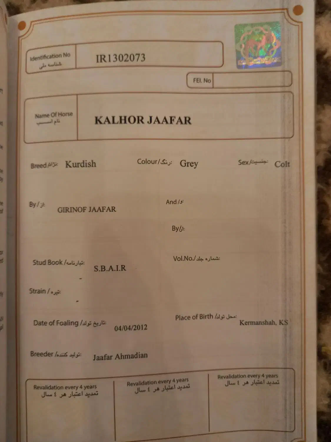 اسب کرد مدرک دار|اسب و تجهیزات اسب‌سواری|اصفهان, دستگرده|دیوار