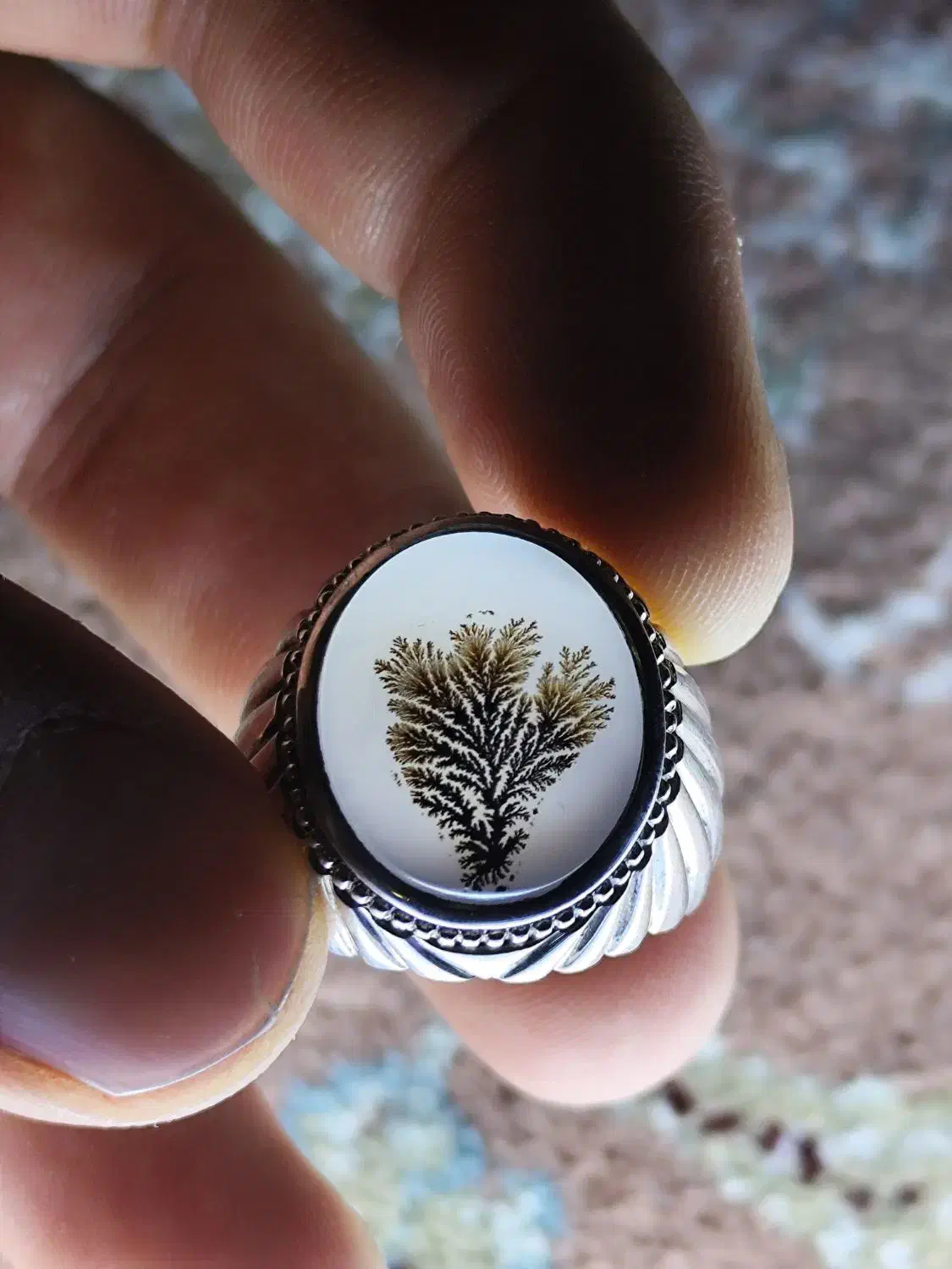 انگشترشجر تک درخت|کلکسیون اشیاء عتیقه|همدان, |دیوار