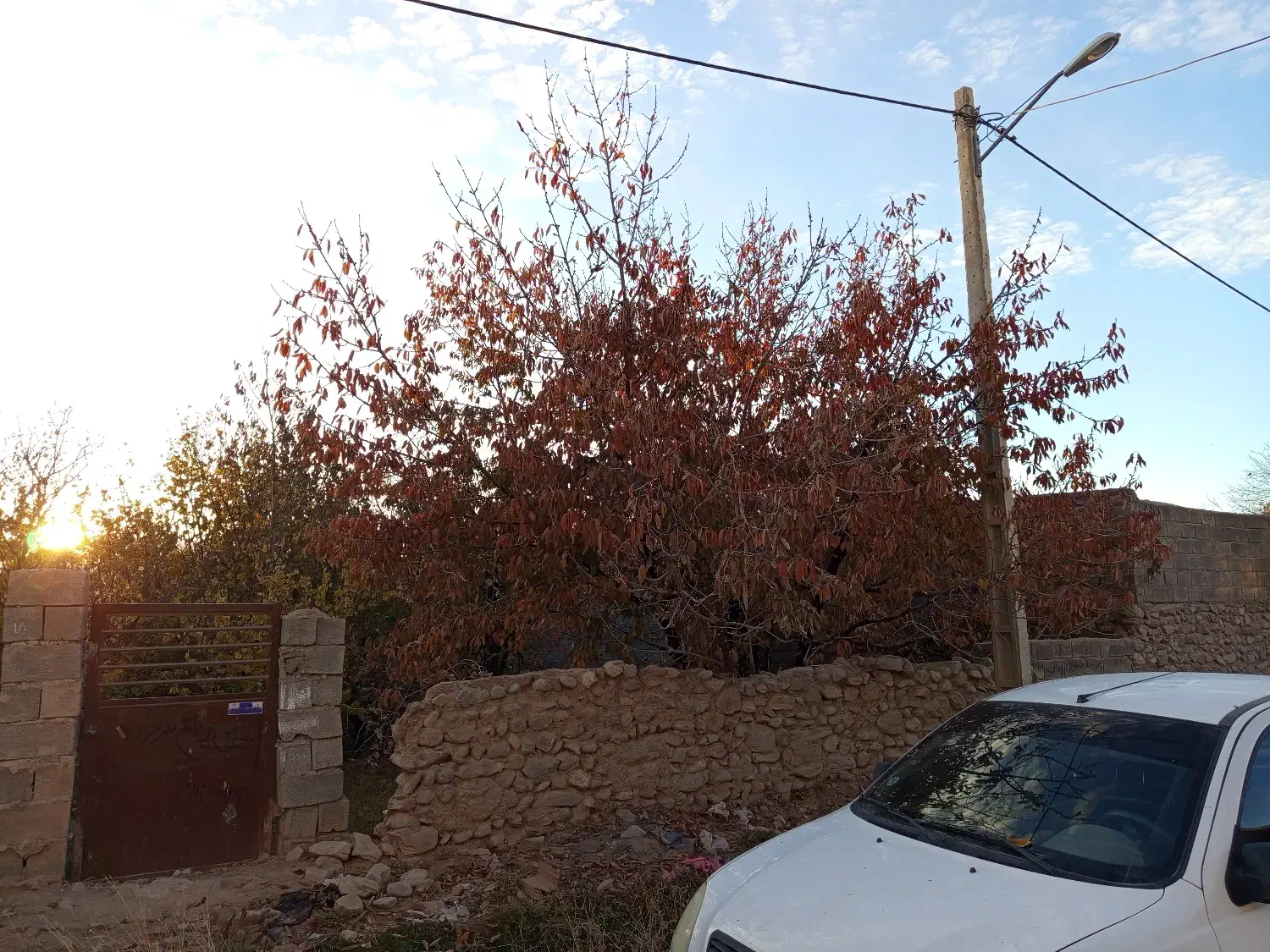 زمین ماهان سکنج|فروش زمین و ملک کلنگی|ماهان, |دیوار