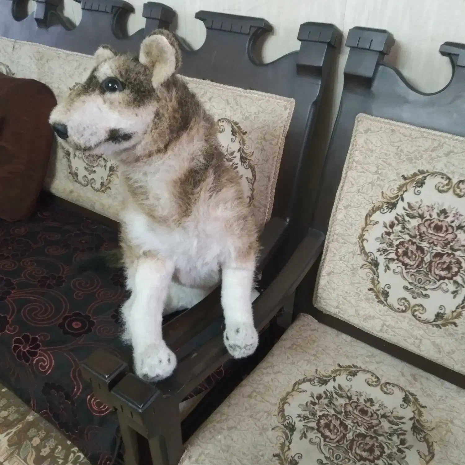 سگ هاپو|اسباب‌بازی بچه|اسلام‌شهر, مظفریه|دیوار