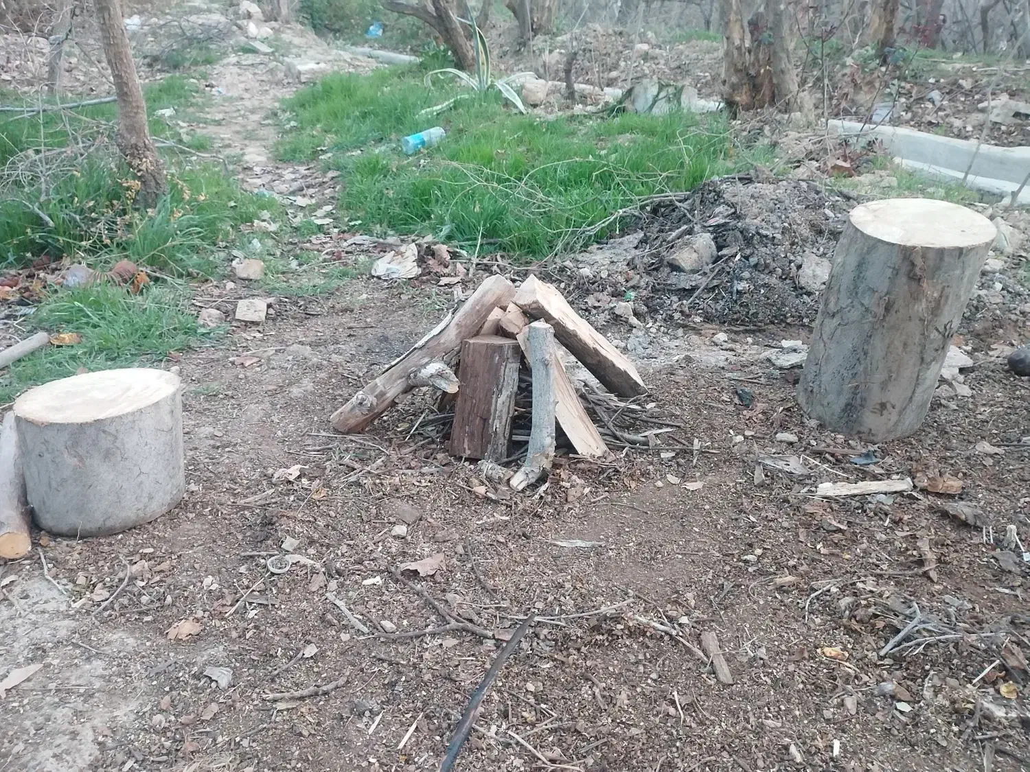 هیزم ،چوب|خدمات باغبانی و درختکاری|شیراز, میرزاکوچک خان|دیوار