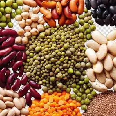 حبوبات ارگانیک با قیمت مناسب|عمدهفروشی|زرقان, |دیوار