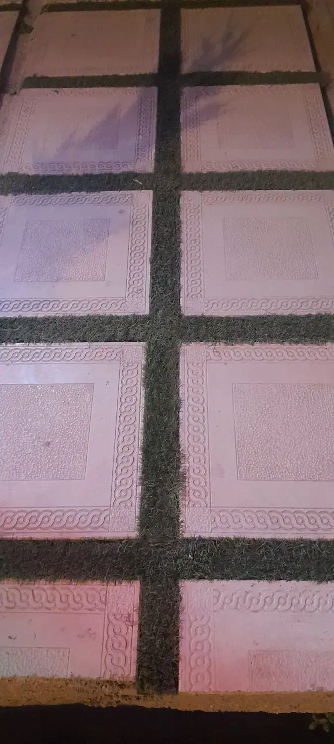 موزاییک وجدول سازی صوفی|مصالح و تجهیزات ساختمان|کلاله, |دیوار