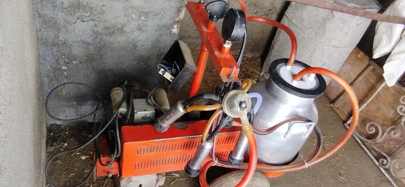 شیردوش گاو|لوازم جانبی حیوانات|نیشابور, مازول|دیوار