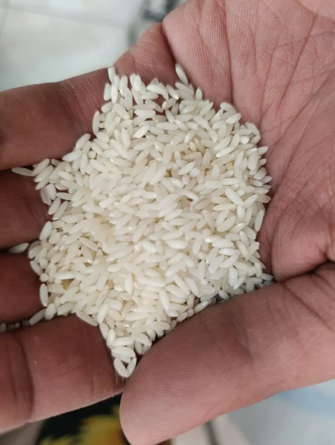 عنبربو|خوردنی و آشامیدنی|قم, هفت تیر|دیوار