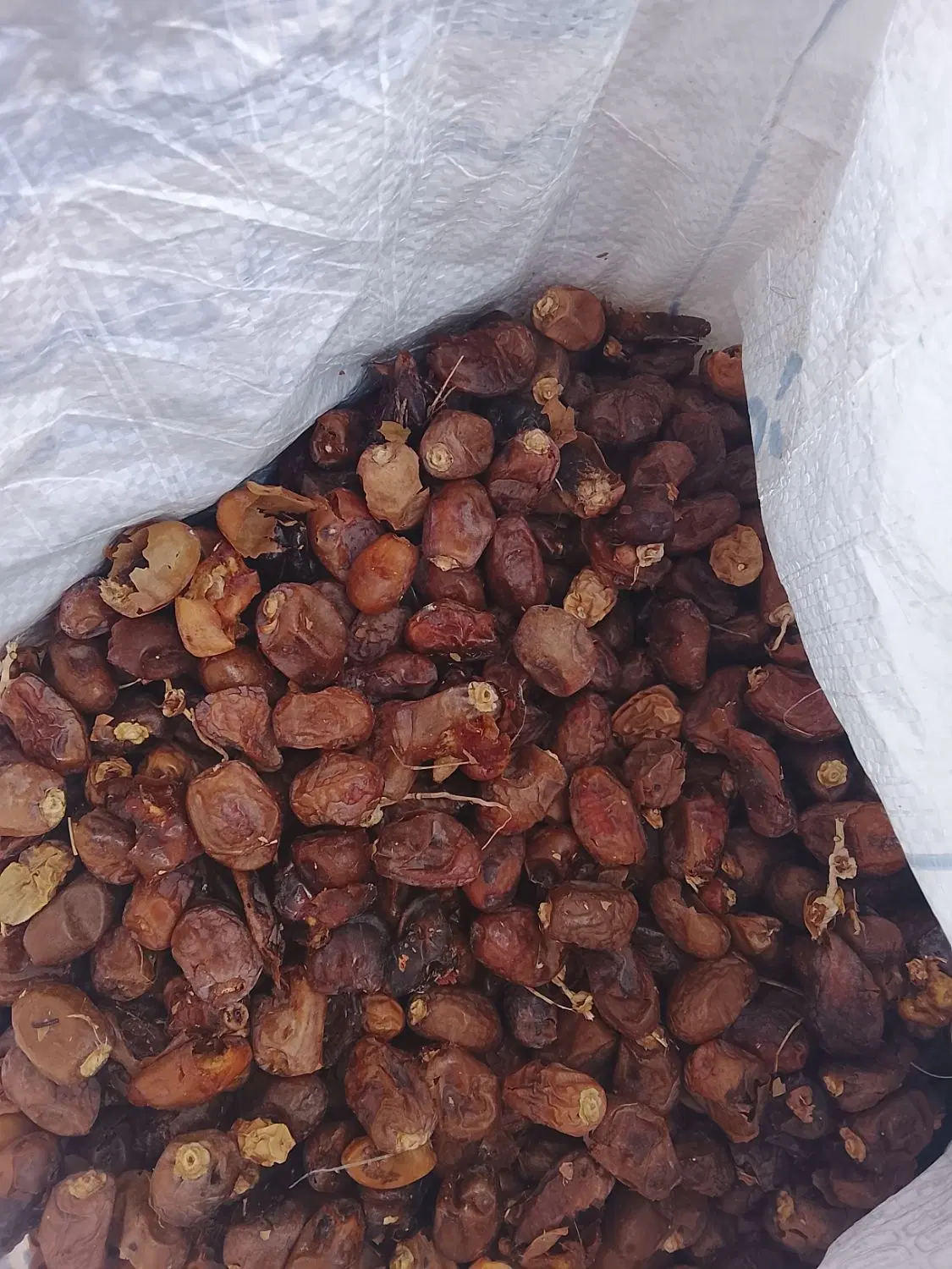 حشف|خوردنی و آشامیدنی|شادگان, |دیوار