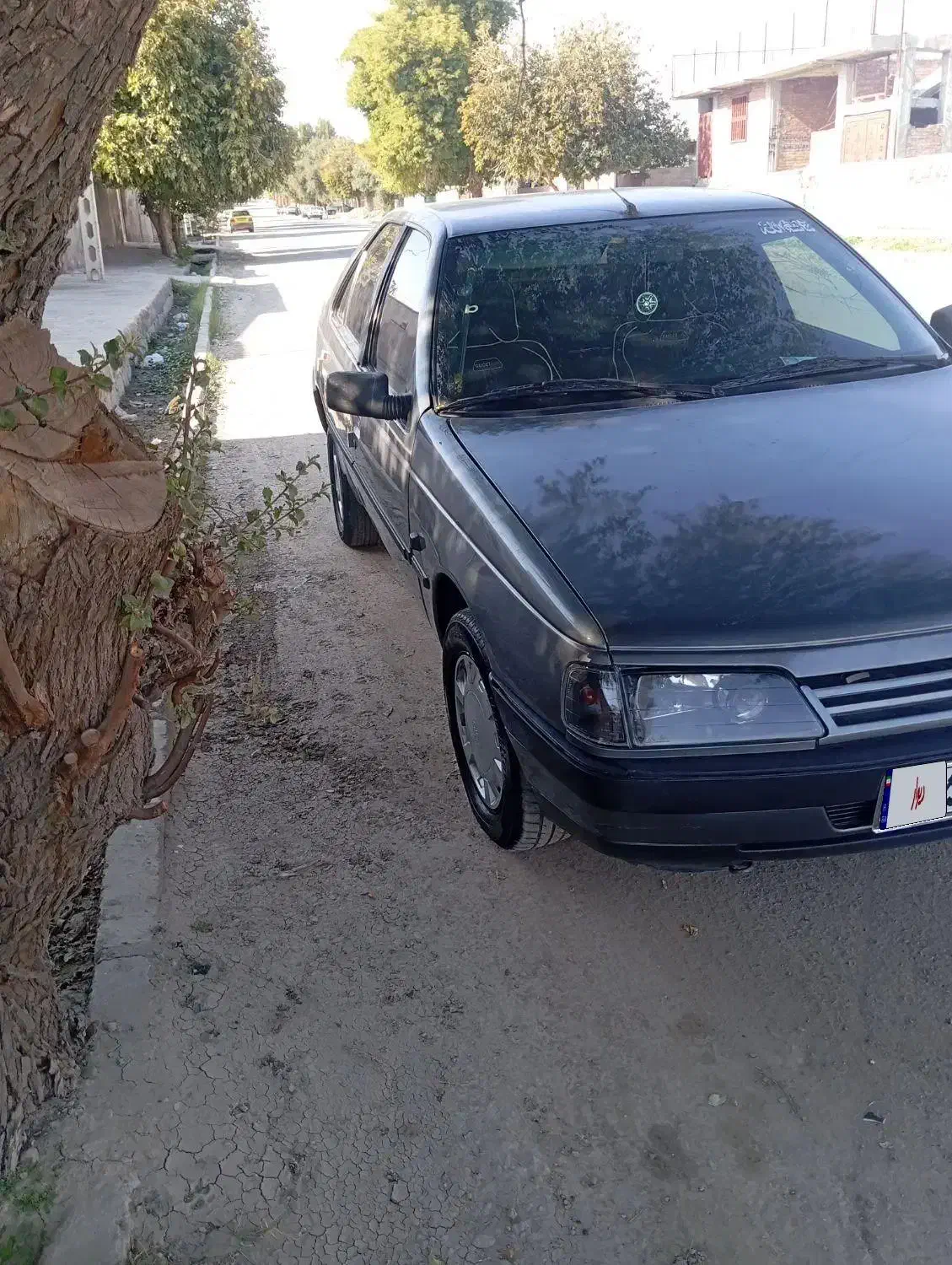 405 فروشی دلفینی|خودرو سواری و وانت|جیرفت, |دیوار