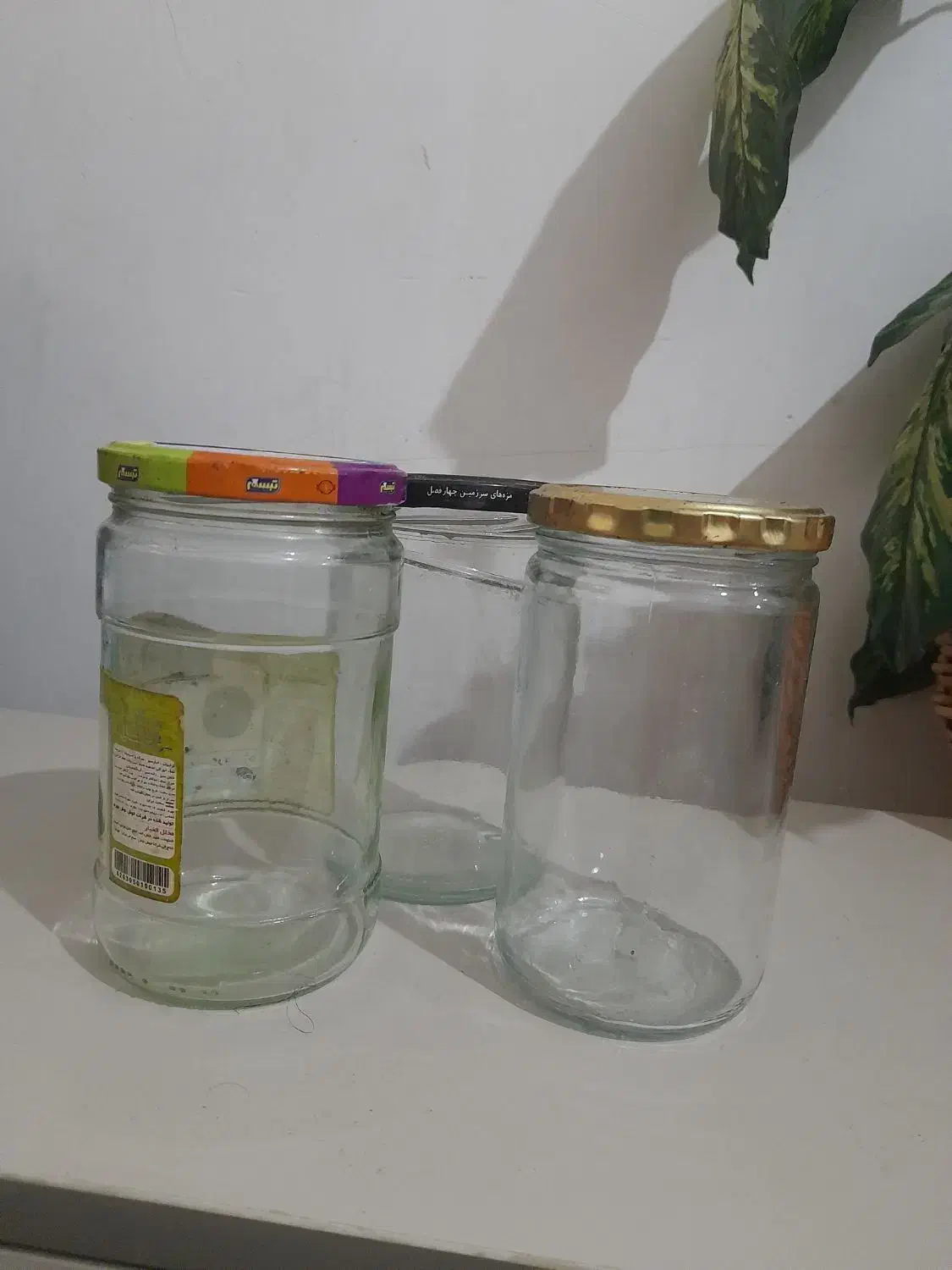 فروش شیشه خالی|ظروف نگهدارنده، پلاستیکی، یک‌بارمصرف|بندر دیر, |دیوار