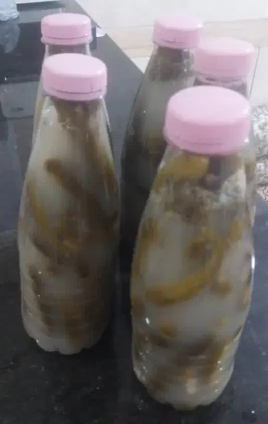 خیارشور|خوردنی و آشامیدنی|دوگنبدان, |دیوار