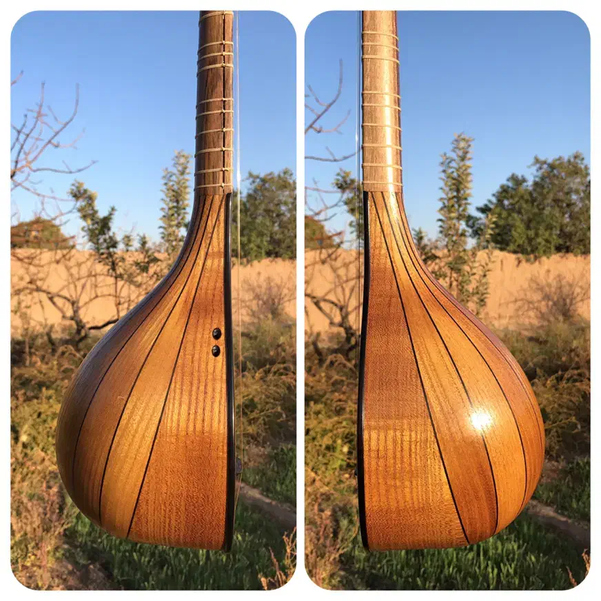 سه تار حرفه ای کمال الدین|سازهای سنتی|تهران, استاد معین|دیوار