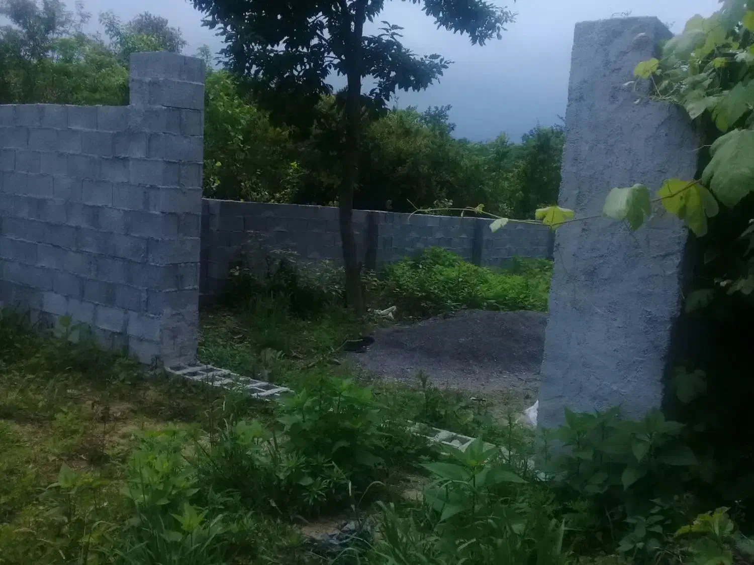 فروش فوری زمین|فروش زمین و ملک کلنگی|گوراب زرمیخ, |دیوار