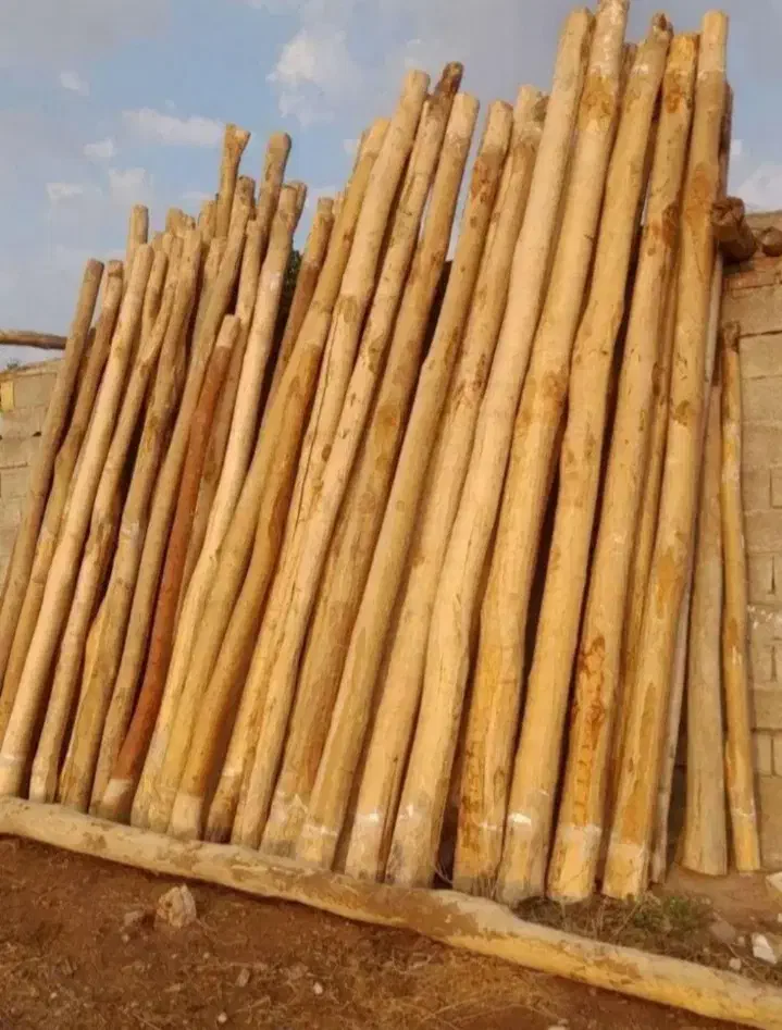 چوب|خدمات باغبانی و درختکاری|ماهیدشت, |دیوار