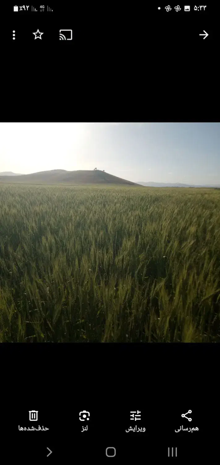 فروش دوهکتارزمین دیم باکلانی کوزران سندتکبرگ|فروش دفتر صنعتی، کشاورزی، تجاری|روانسر, |دیوار