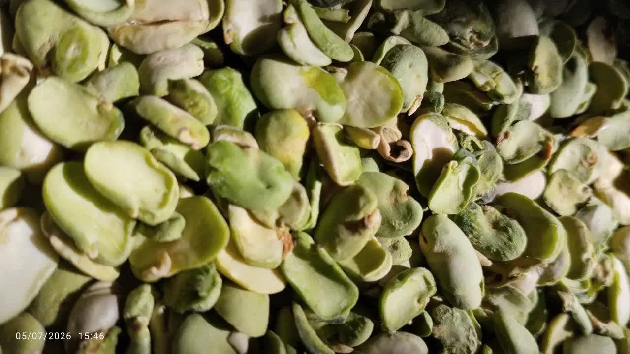 باقله|خوردنی و آشامیدنی|خرمآباد, |دیوار