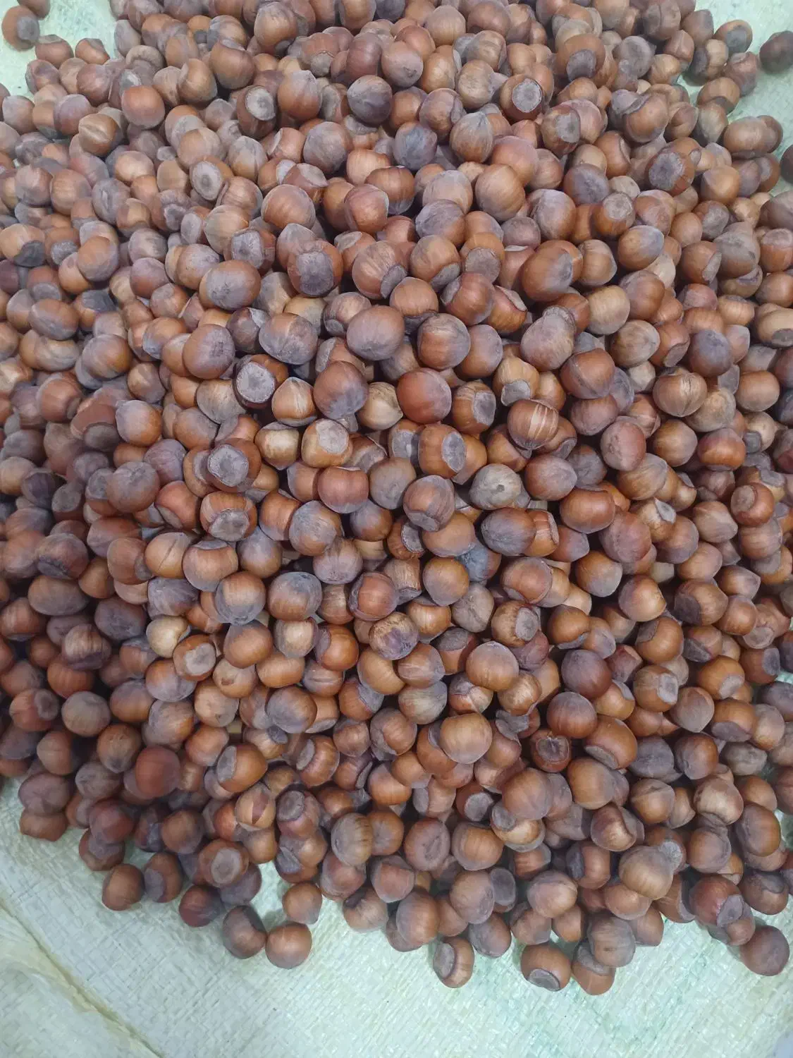 فندق|خوردنی و آشامیدنی|رشت, هلال احمر|دیوار