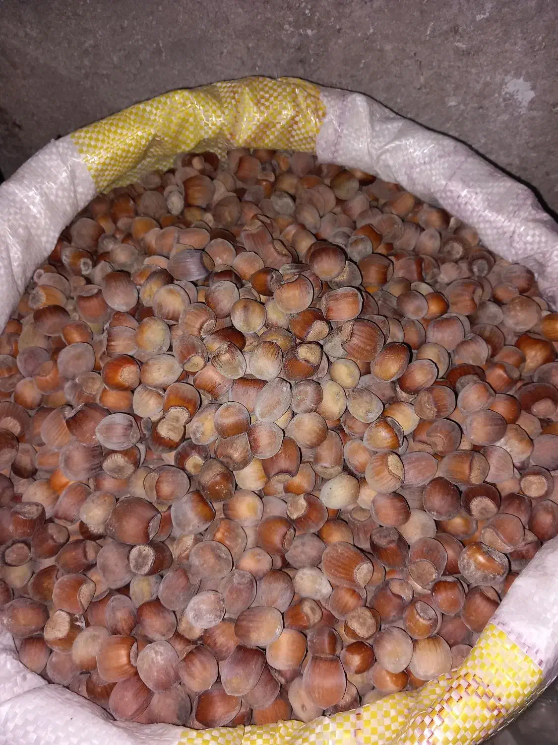 فندق درجه یک جنگلی|خوردنی و آشامیدنی|نمین, |دیوار