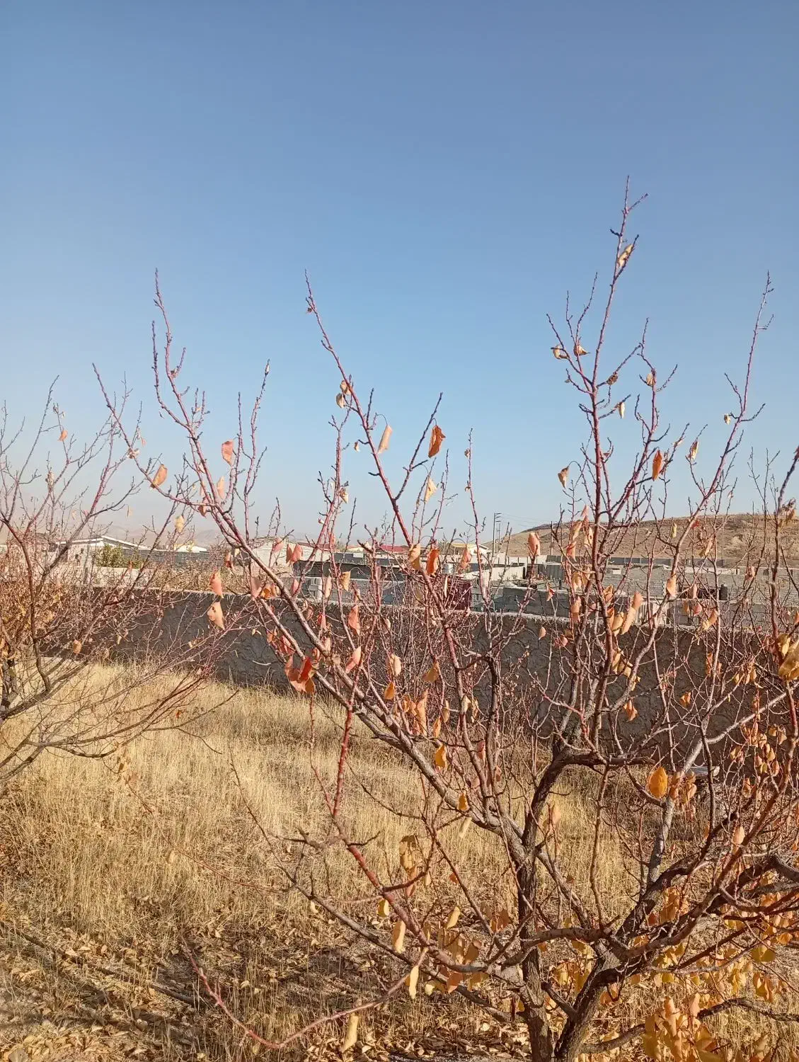 زین آباد ۳۲۰متر|فروش زمین و ملک کلنگی|صوفیان, |دیوار