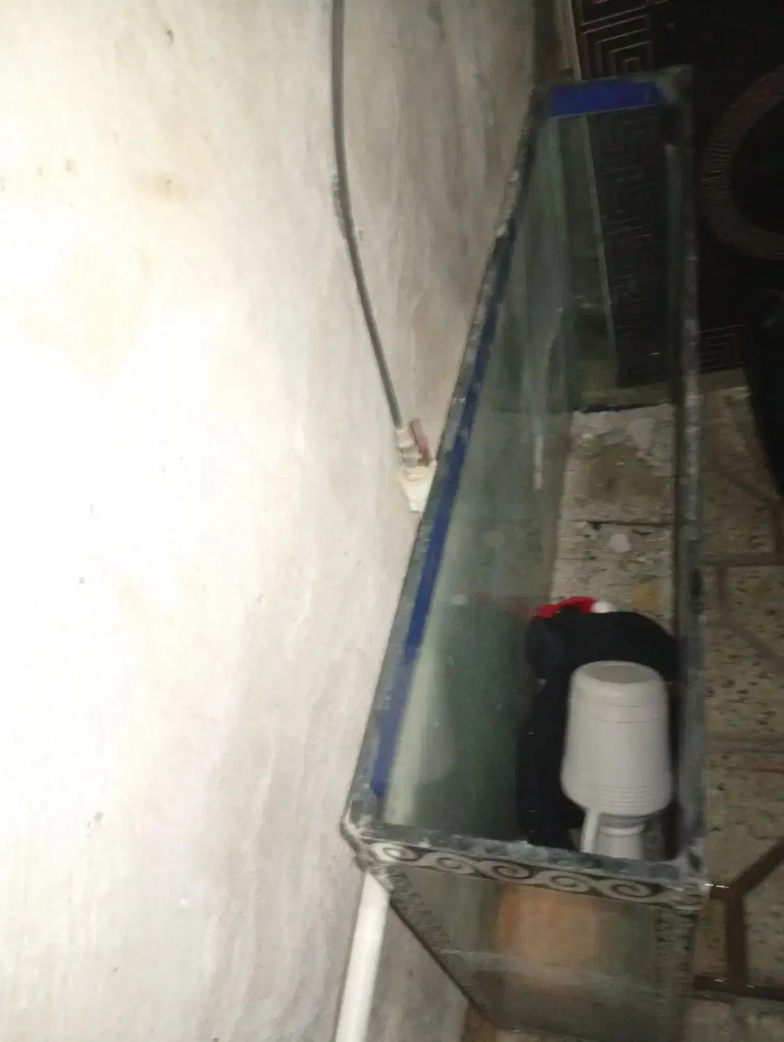 آکواریوم بالوازماش|ماهی|پاکدشت, پاکدشت (مامازند)|دیوار