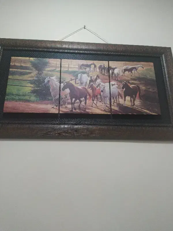 تابلو|تابلو، نقاشی، عکس|محمدیه-قزوین, |دیوار