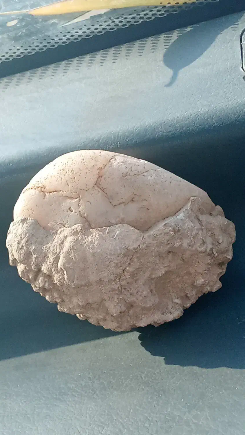 سنگهای طبیعی|جواهرات|پرند, فاز ۴|دیوار