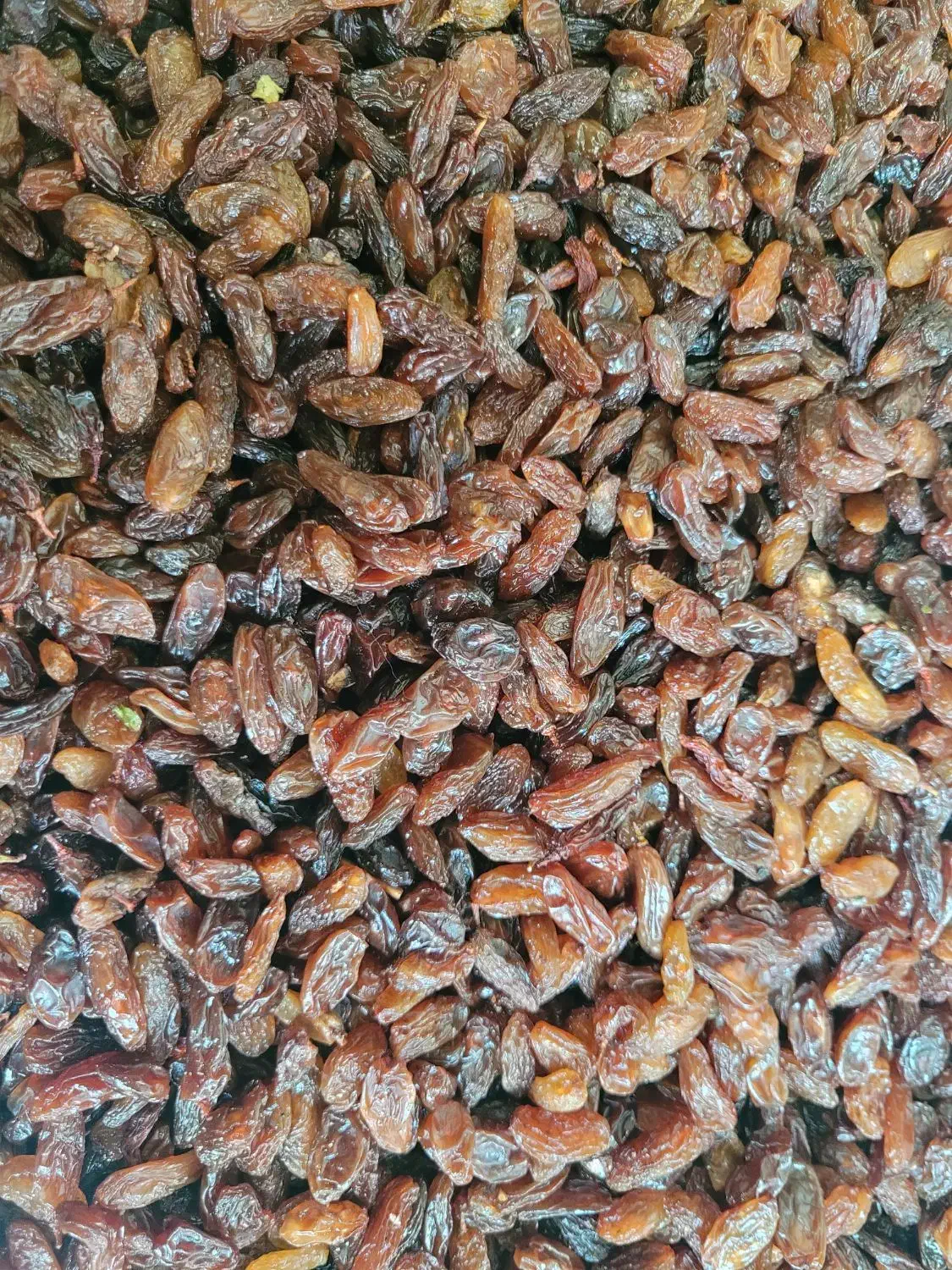 کشمش افتابی محمدکاشمری|عمده‌فروشی|تهران, کرمان|دیوار