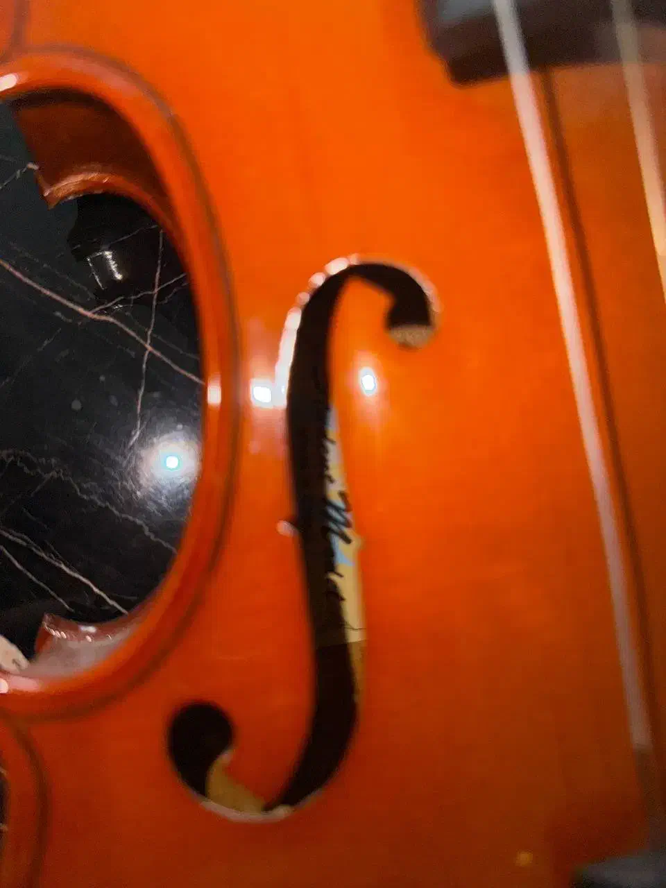 ویالون و تار نو|سازهای سنتی|تهران, تهرانپارس شرقی|دیوار