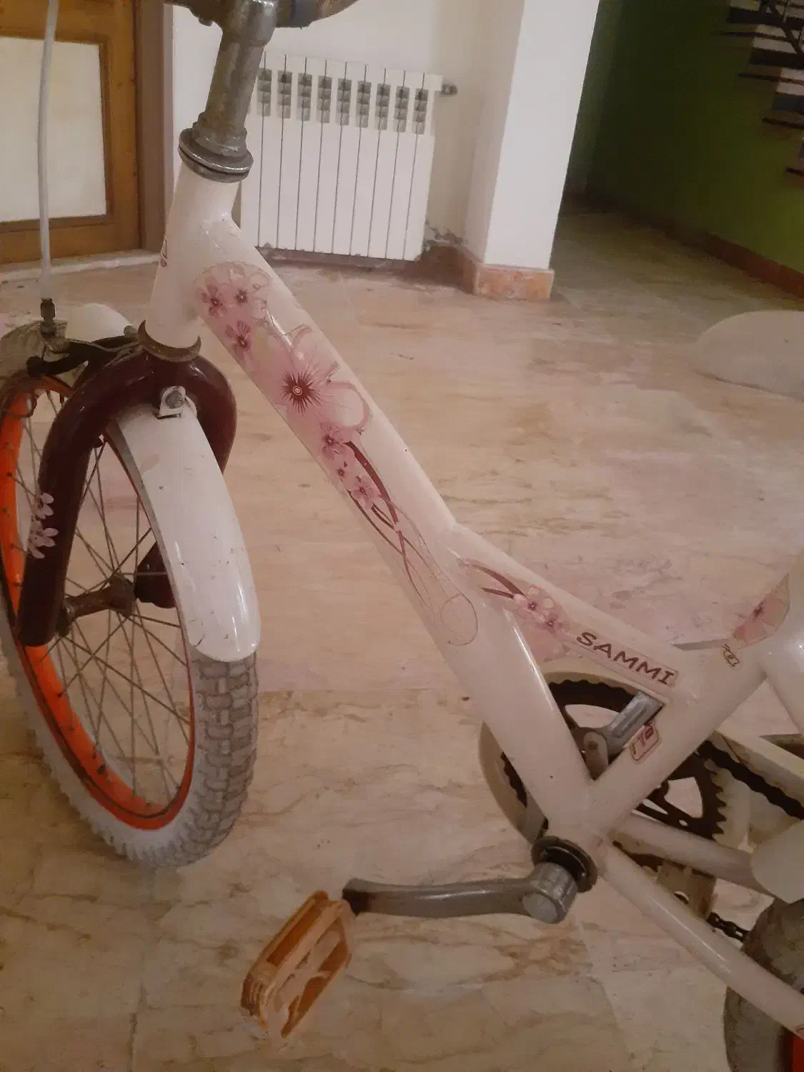 دوچرخه|دوچرخه، اسکیت، اسکوتر|سرخرود, |دیوار