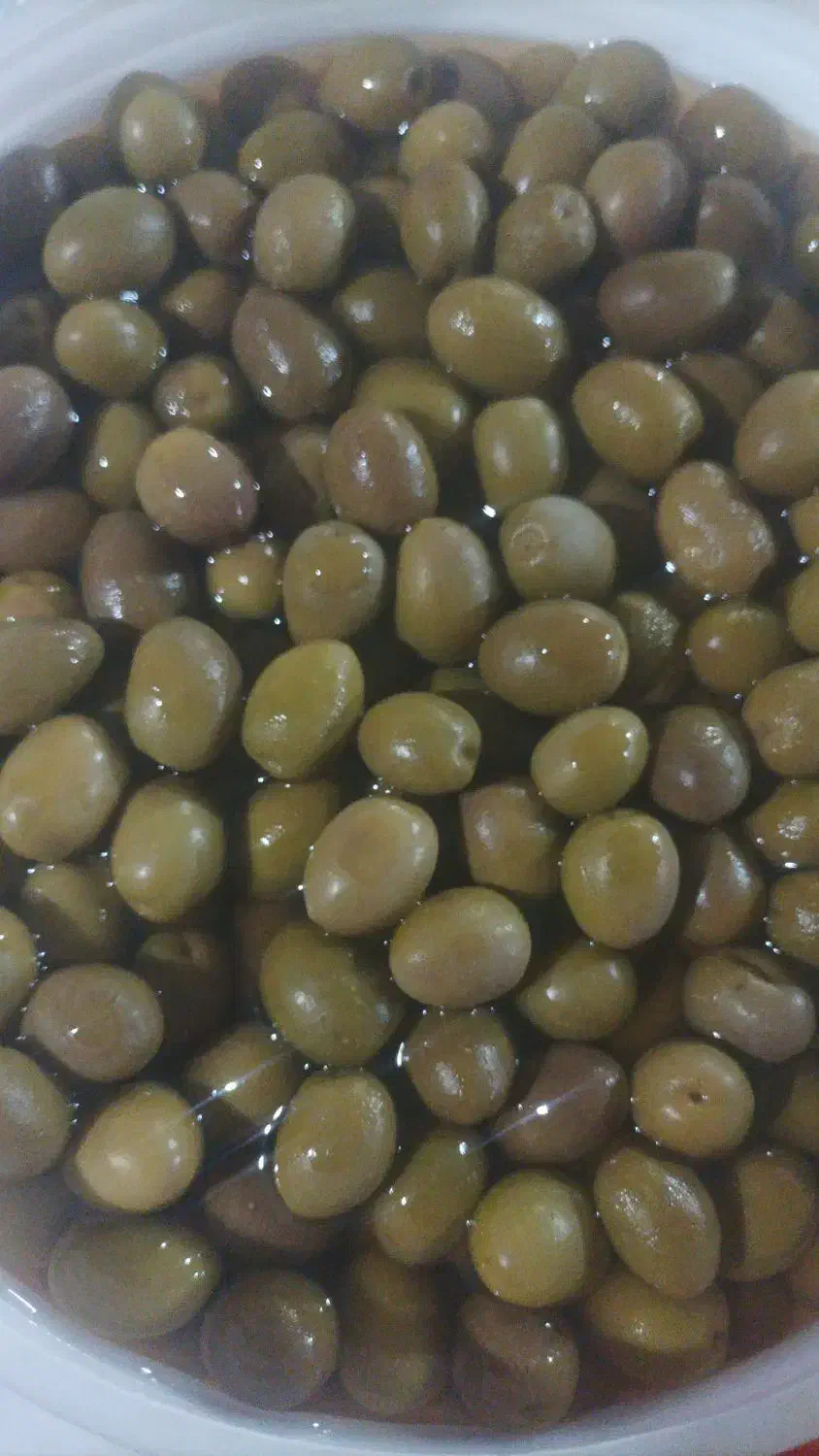 ز ی ت و ن|آرایشی، بهداشتی، درمانی|سیرجان, |دیوار