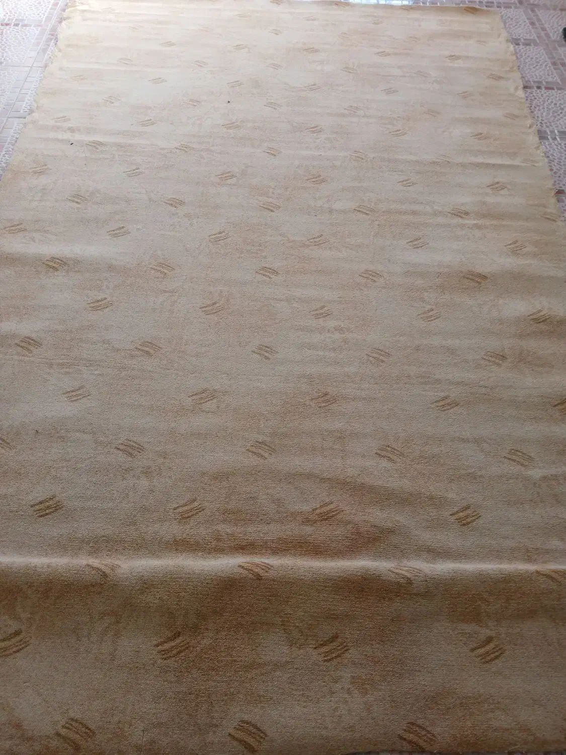 موکت پالاز|موکت|ایلام, |دیوار