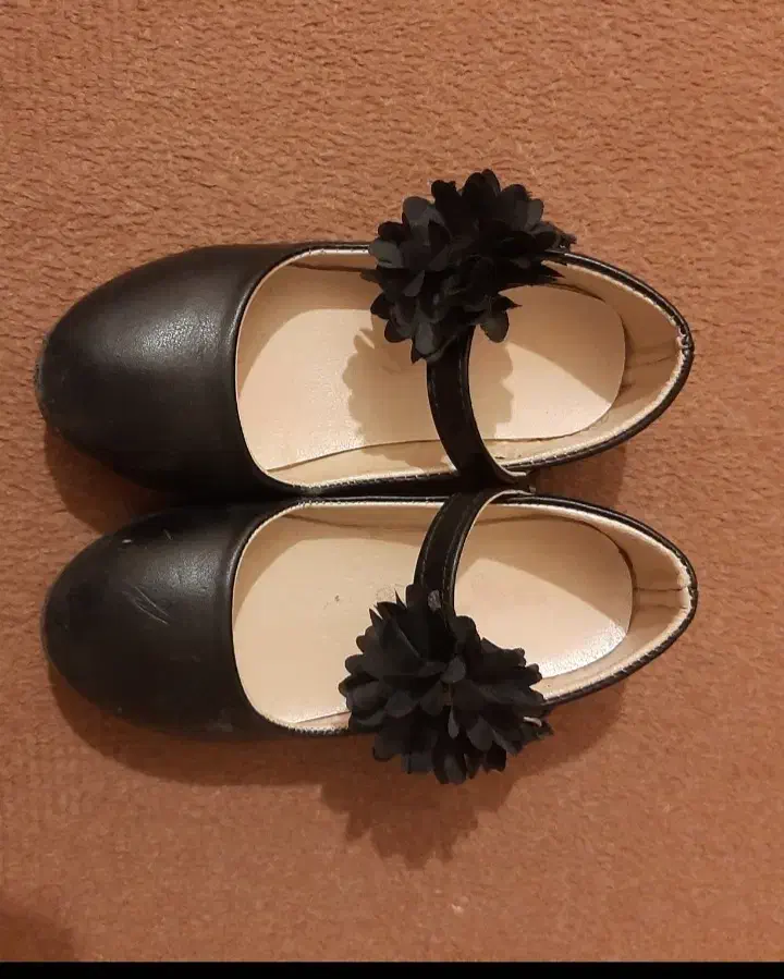 کفش و کیف|کیف، کفش، کمربند|زاهدان, |دیوار