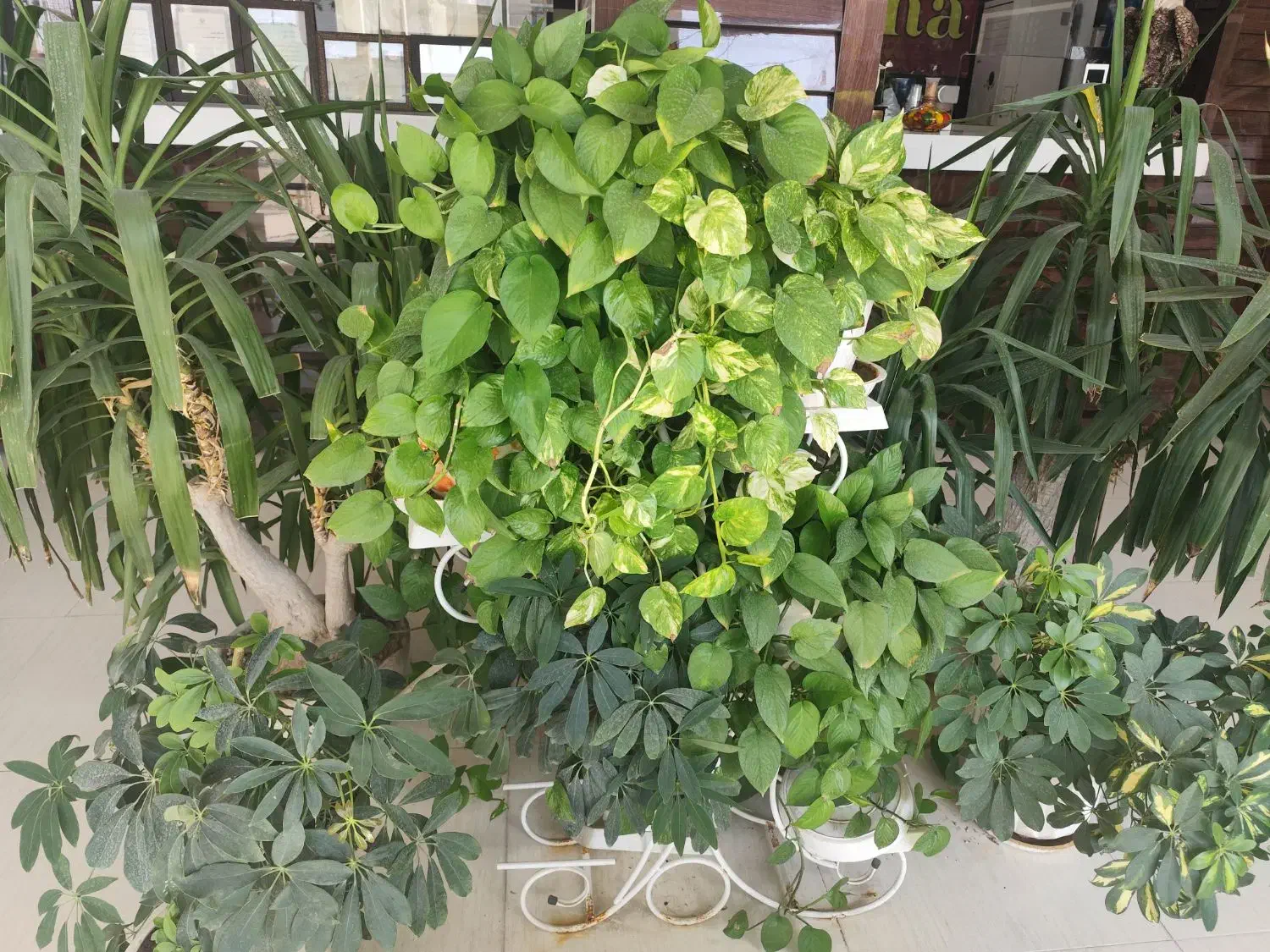 استخدام نیروی کار|استخدام خدمات فروشگاه و رستوران|کازرون, |دیوار