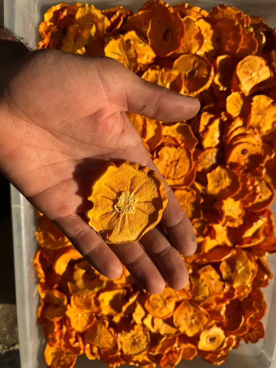 فروش عمده خرمالو خشک|خوردنی و آشامیدنی|بهشهر, |دیوار