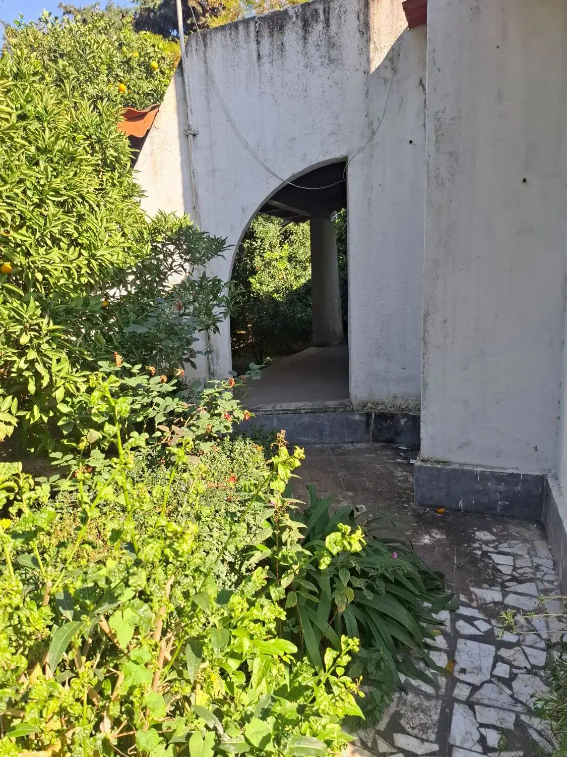 ویلا داخل شهرک ساحلی فول مبله|اجارهٔ خانه و ویلا|رویان, |دیوار