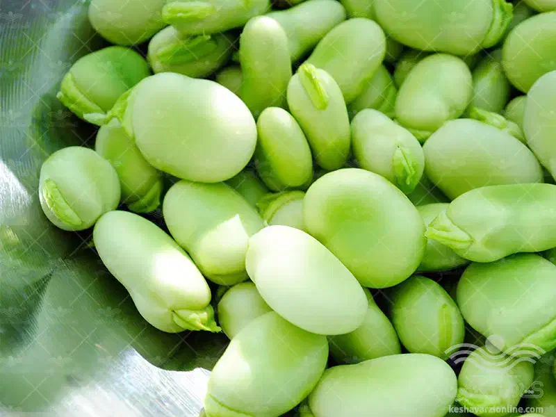 محصولات خانگی جاودانه|خدمات پذیرایی، مراسم|تاکستان, |دیوار
