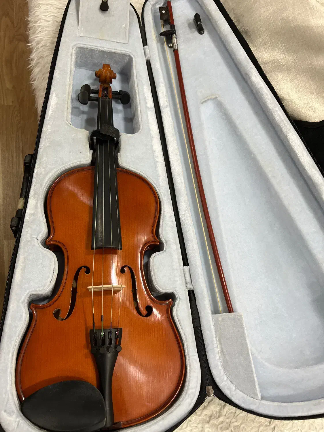 ویولن|ویولن|تبریز, |دیوار