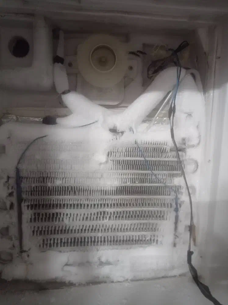 تعمیر تخصصی یخچال لولای درب یخچال در منزل با ضمانت|خدمات پیشه و مهارت|گرمدره, |دیوار