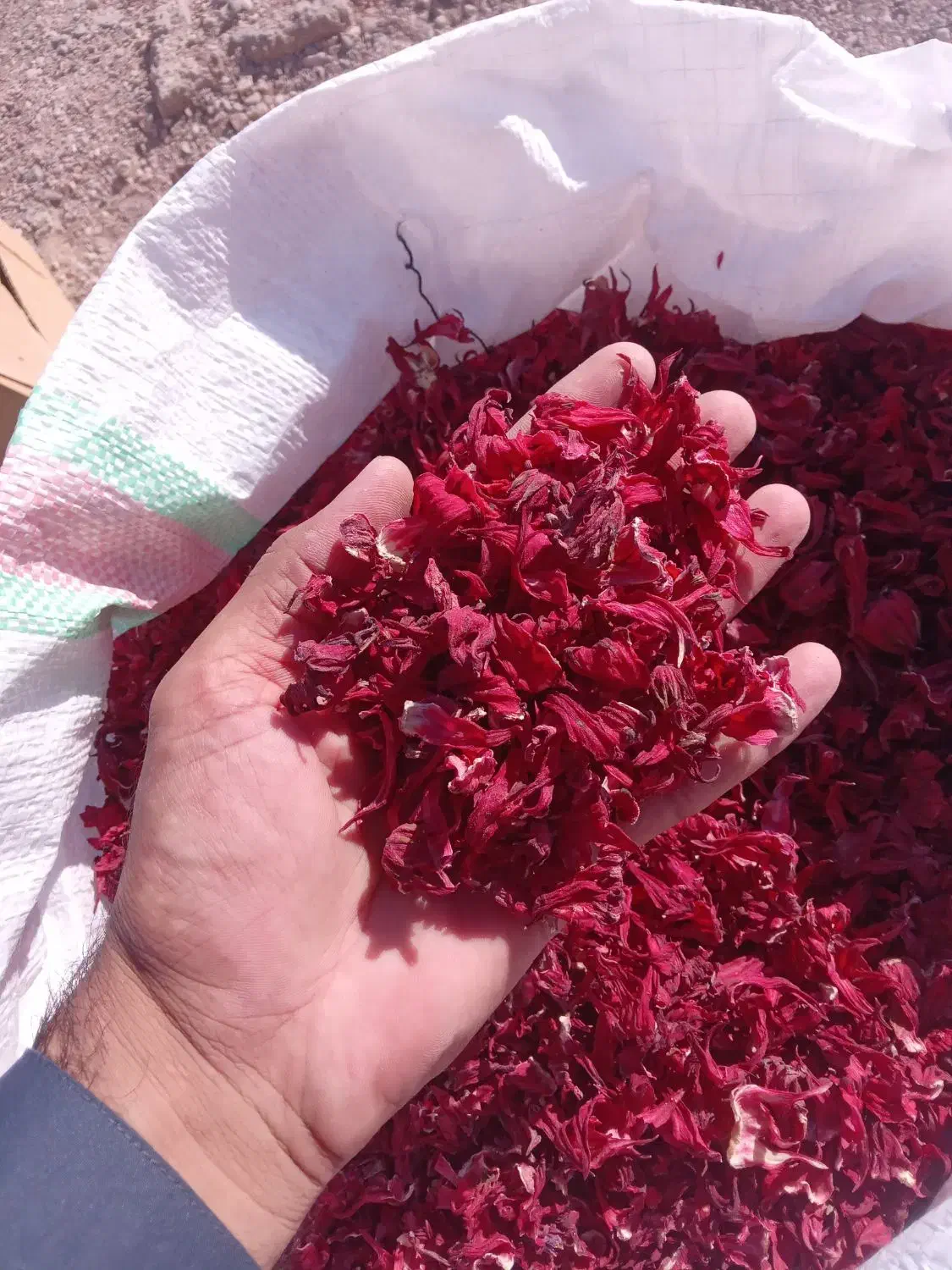 چای ترش دلگان|خوردنی و آشامیدنی|دلگان, |دیوار