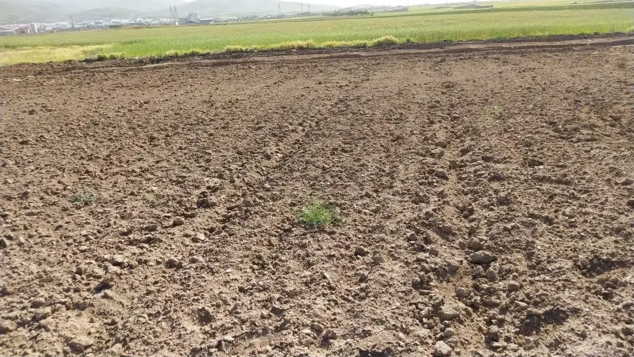 ۱۰۴ هکتار زمین دیم بر جاده اراک قم|فروش دفتر صنعتی، کشاورزی، تجاری|معصومیه, |دیوار