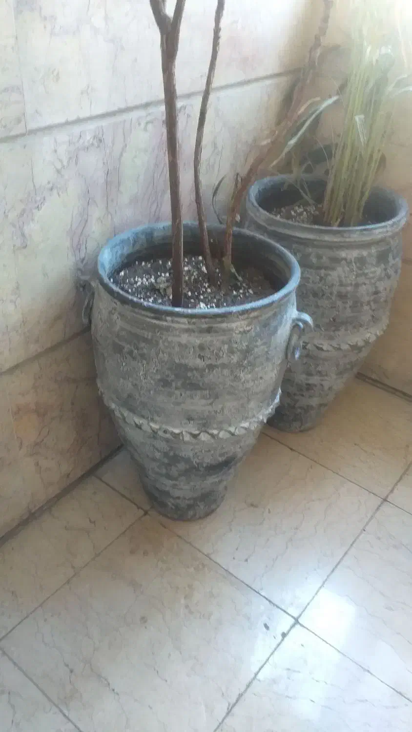 گلدان کوزه ای دهنه ۶۰   سانت دو عدد|گل و گیاه طبیعی|تهران, صادقیه|دیوار