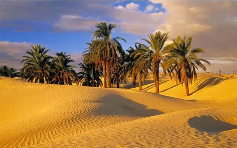 کویر گردی ۳روزه طبس تا ازمیغان|تور و چارتر|مشهد, سرافرازان|دیوار