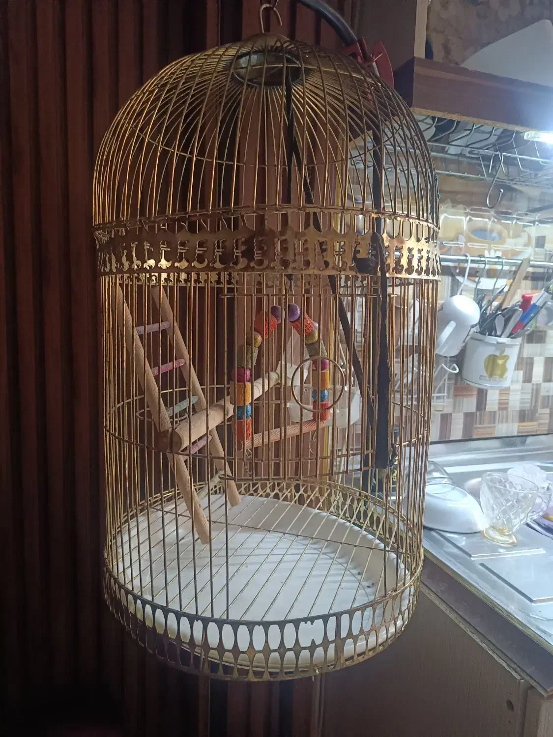 قفس طلایی پایه دار|لوازم جانبی حیوانات|مشهد, نوید|دیوار