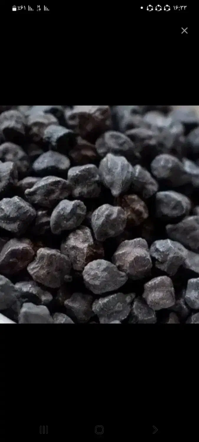 نخود‌سیاه|خوردنی و آشامیدنی|کنگاور, |دیوار